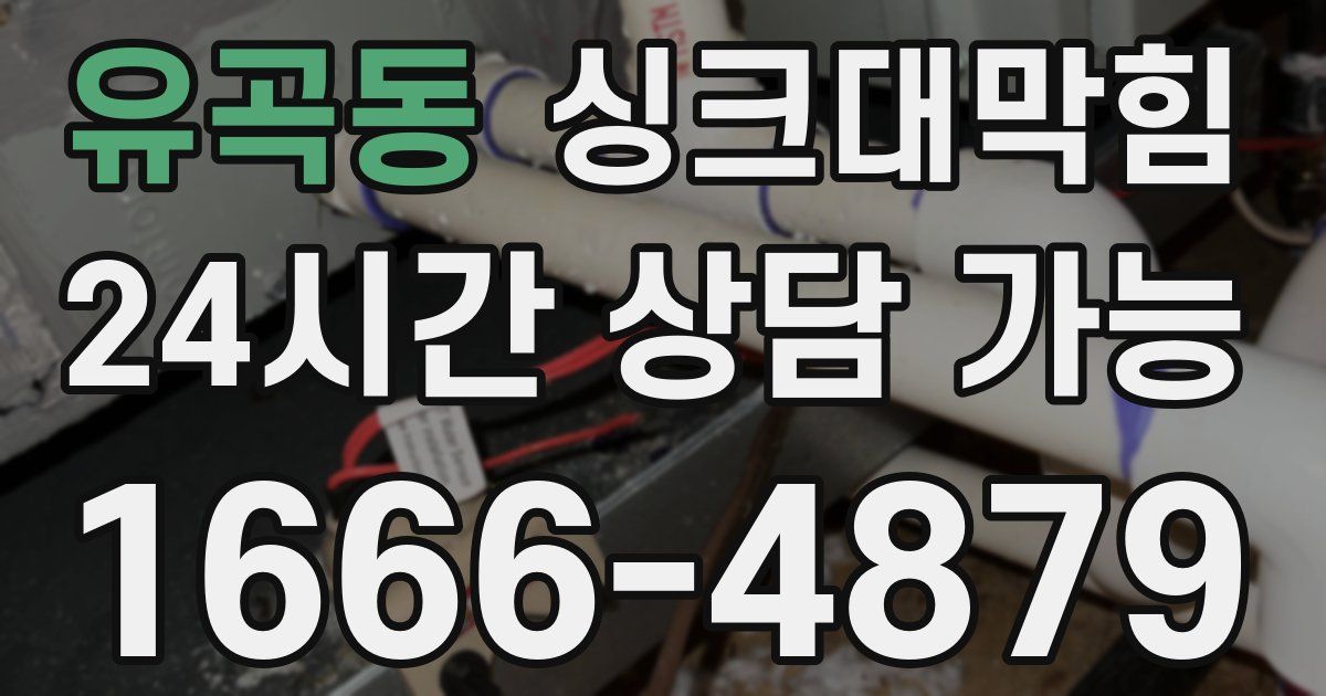 유곡동 싱크대 뚫기
