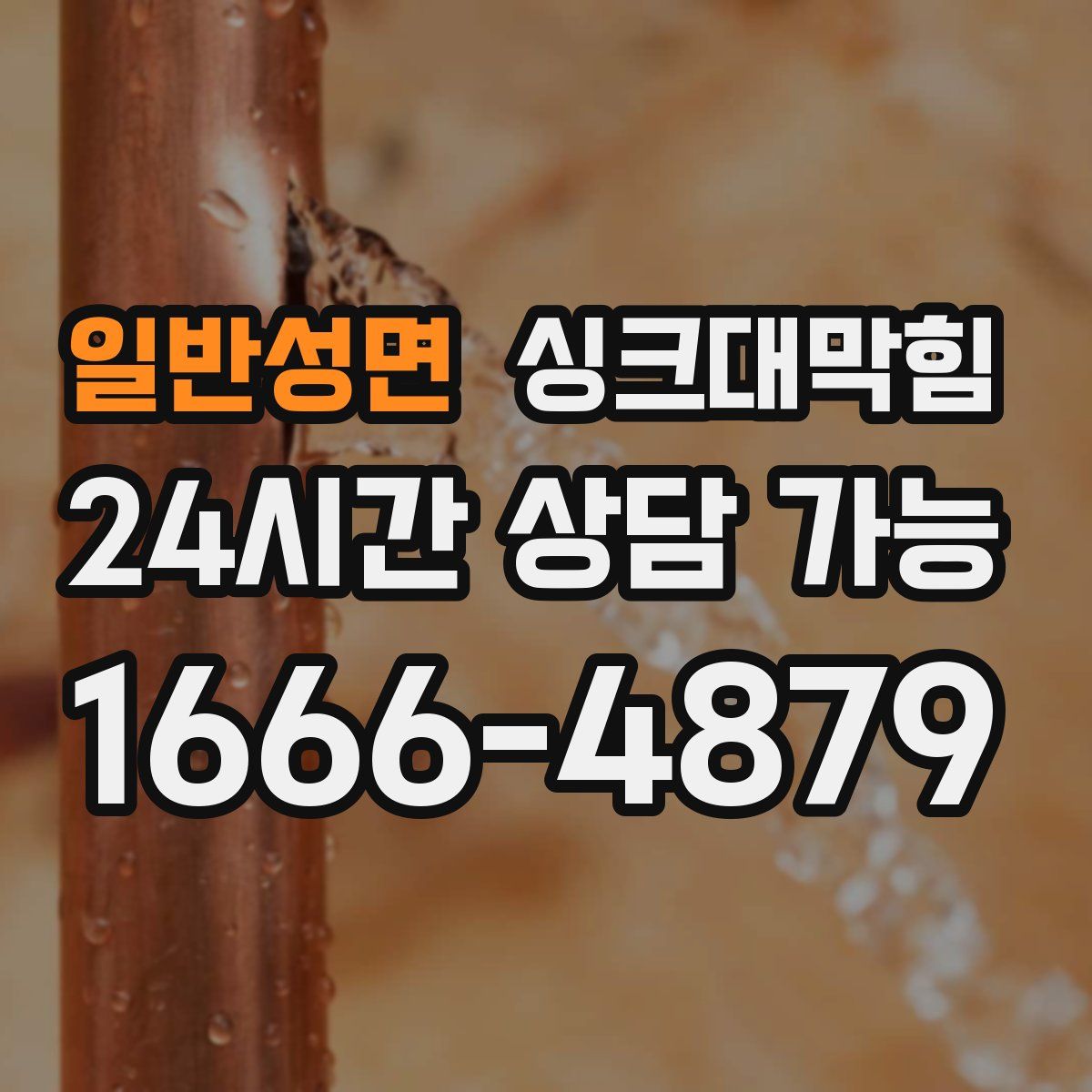 일반성면 싱크대막힘