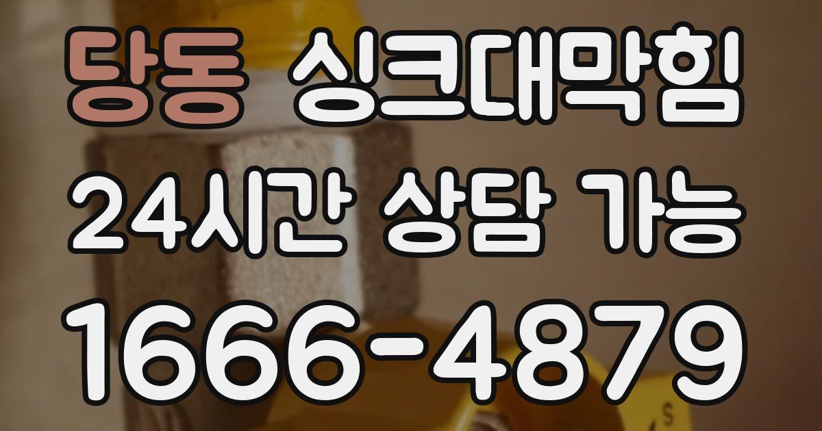 당동 싱크대 뚫기