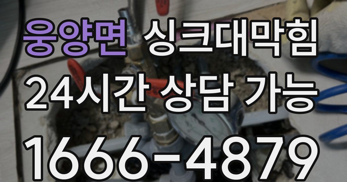 웅양면 싱크대 뚫기