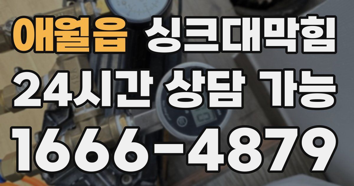 애월읍 싱크대 뚫기
