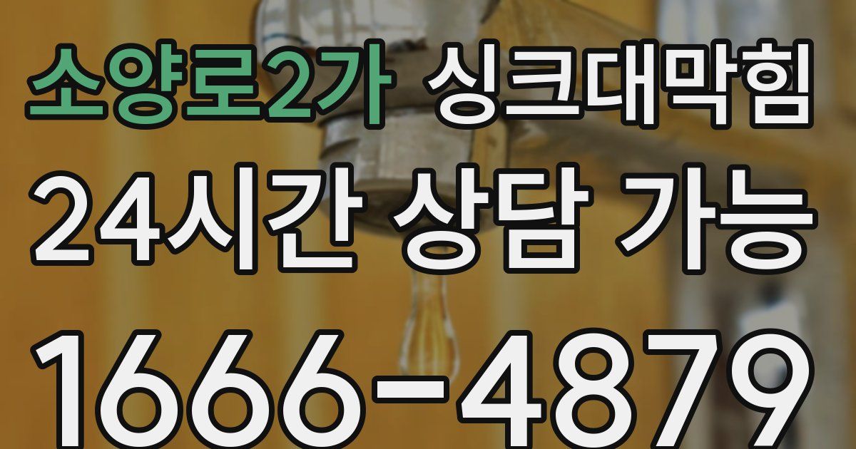 소양로2가 싱크대 뚫기