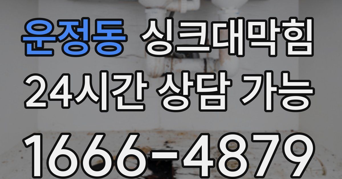 운정동 싱크대 뚫기