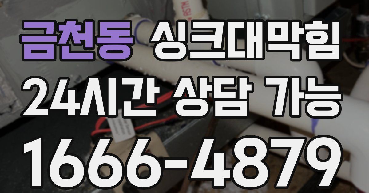 금천동 싱크대 뚫기