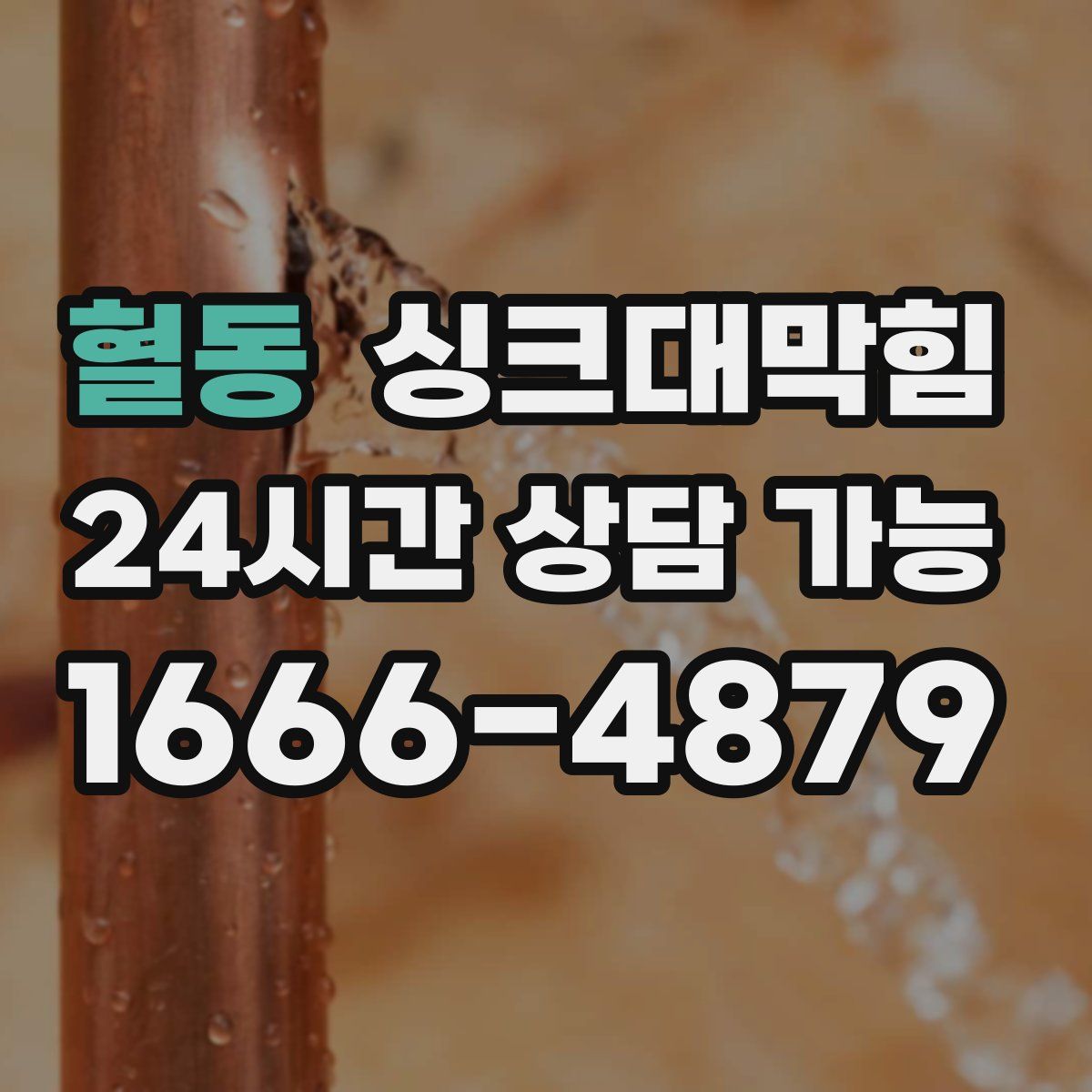 혈동 싱크대막힘