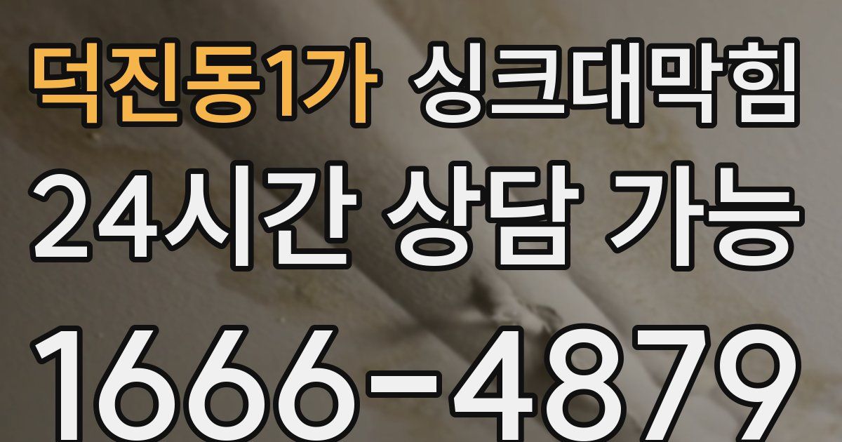 덕진동1가 싱크대 뚫기