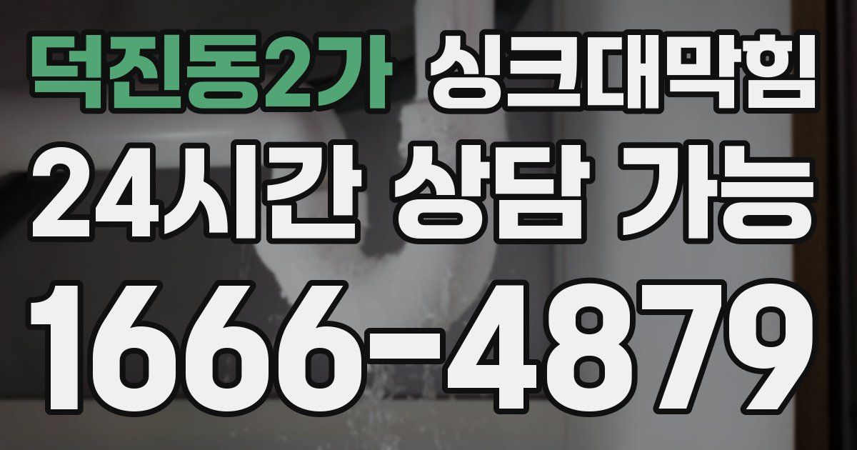 덕진동2가 싱크대 뚫기