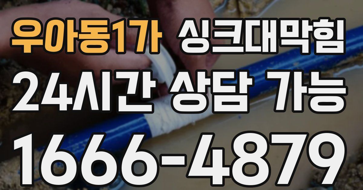 우아동1가 싱크대 뚫기