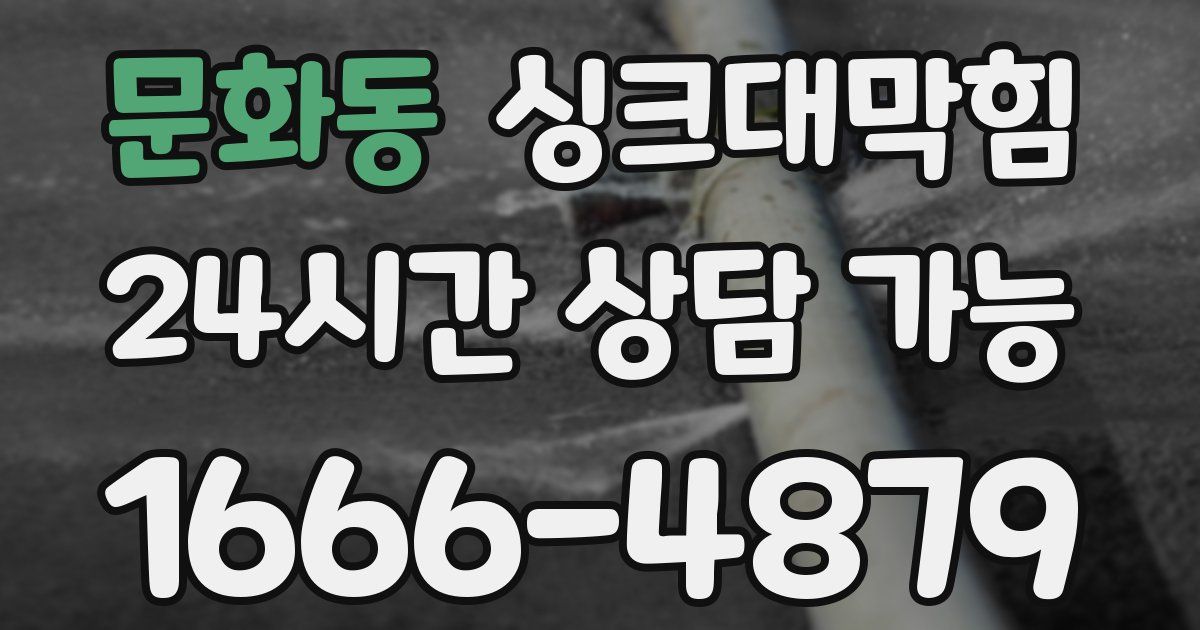 문화동 싱크대 뚫기