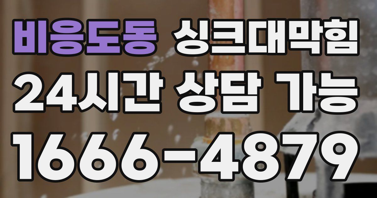 비응도동 싱크대 뚫기