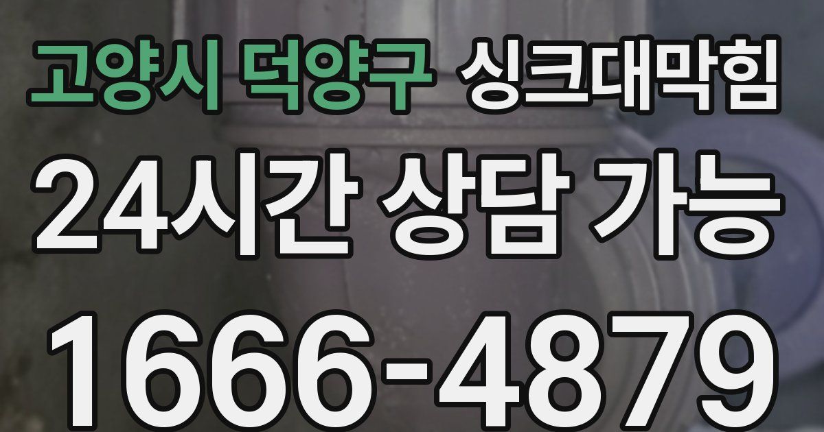 고양시 덕양구 싱크대 뚫기