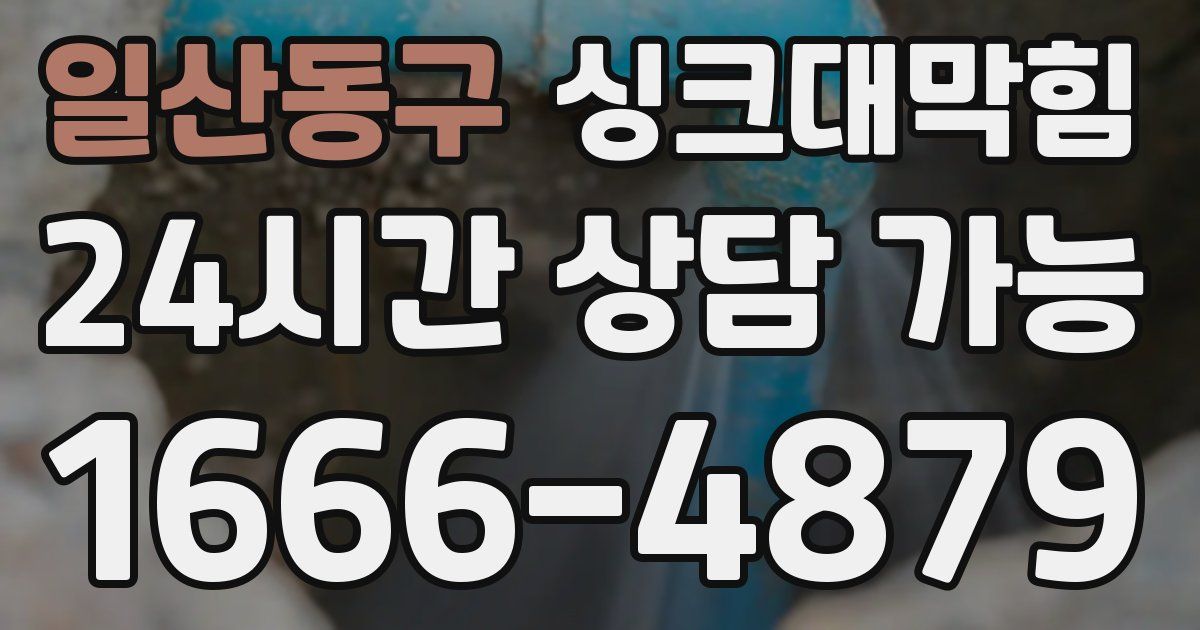 일산동구 싱크대 뚫기