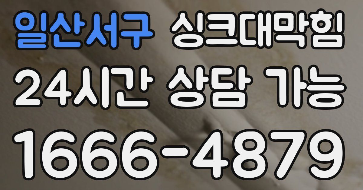 일산서구 싱크대 뚫기