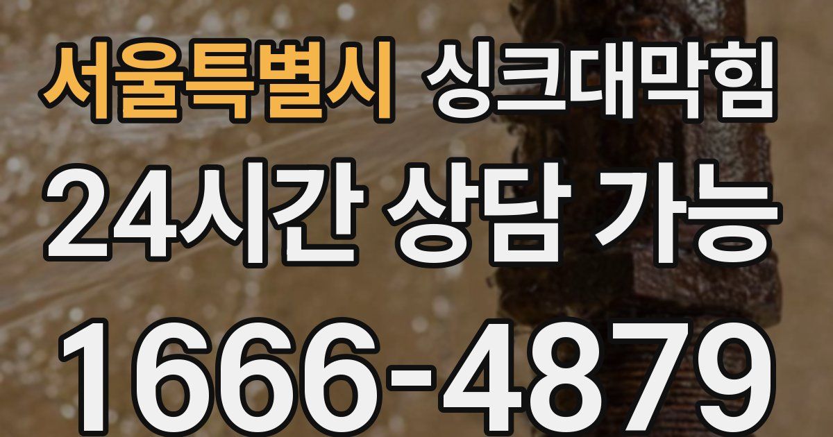서울특별시 싱크대 뚫기