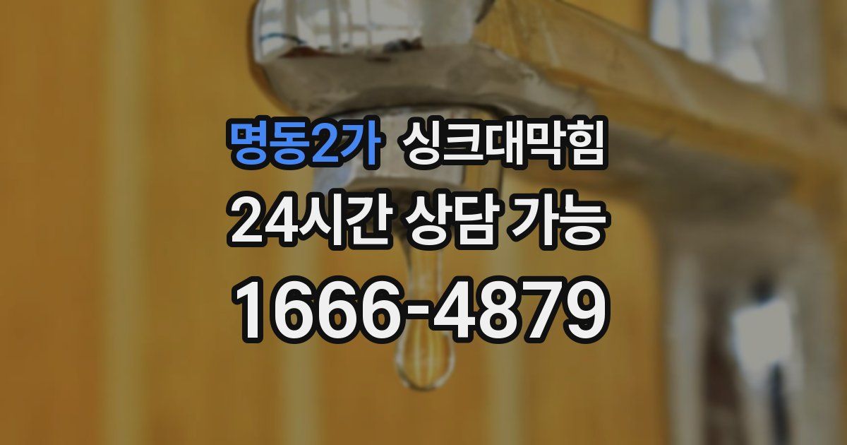명동2가 싱크대 뚫기
