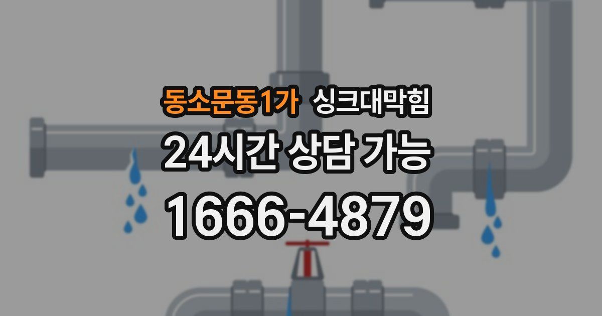 동소문동1가 싱크대 뚫기