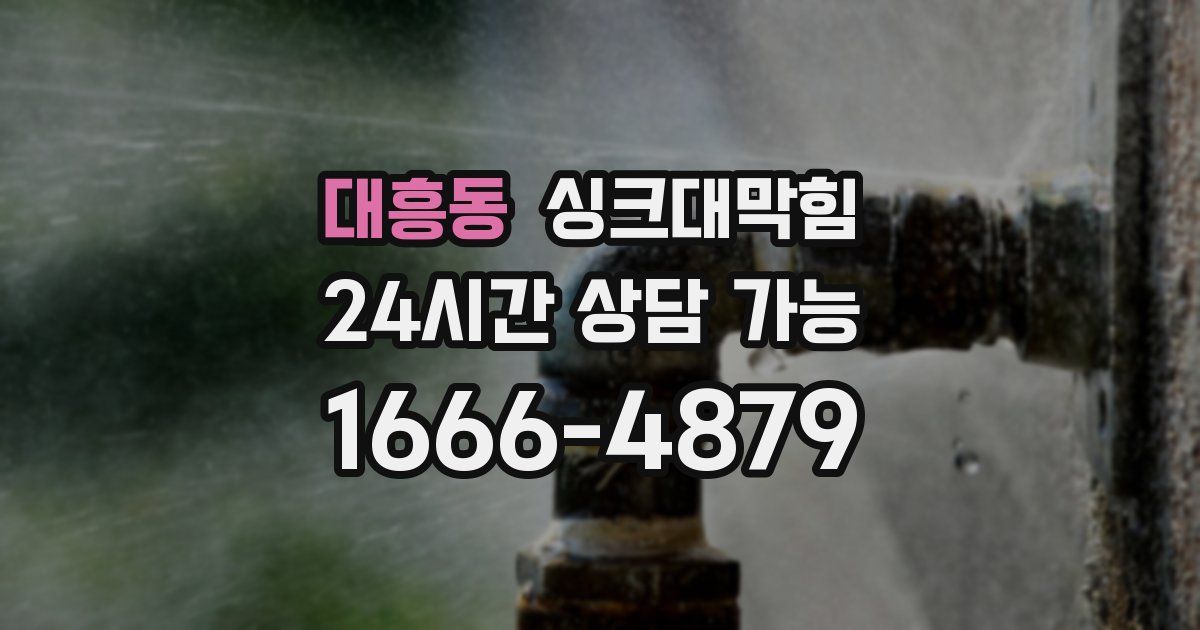 대흥동 싱크대 뚫기