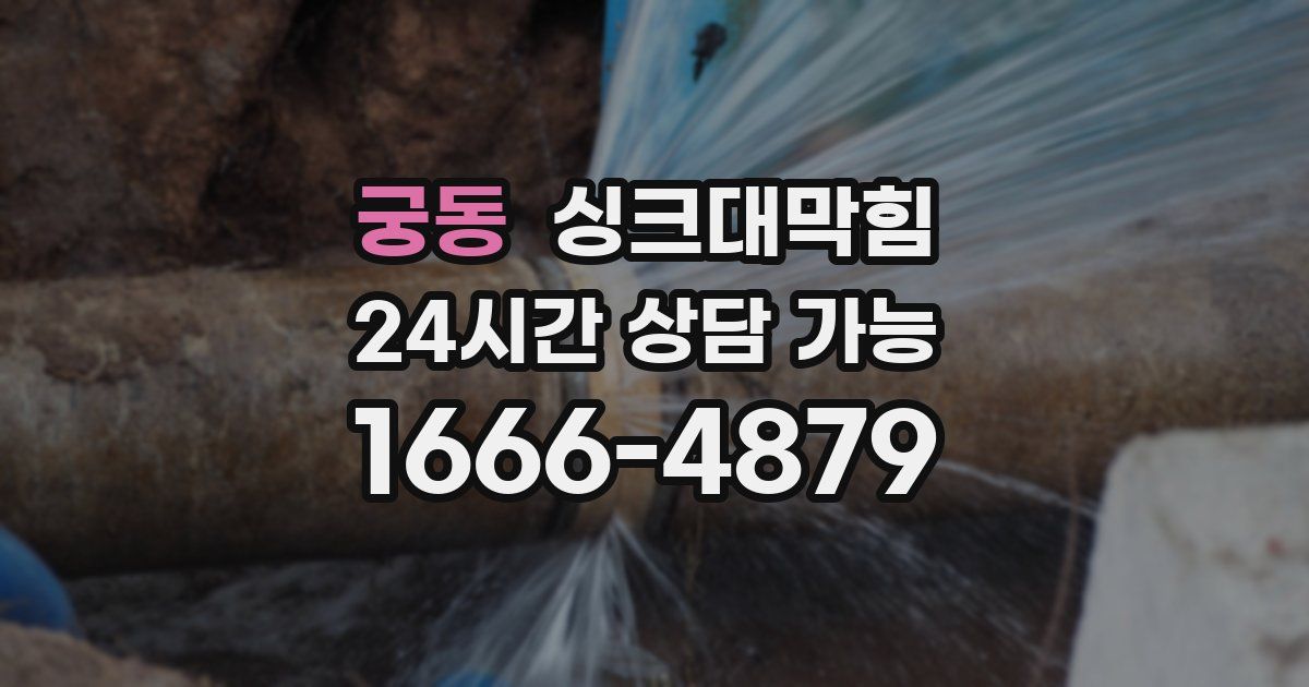궁동 싱크대 뚫기