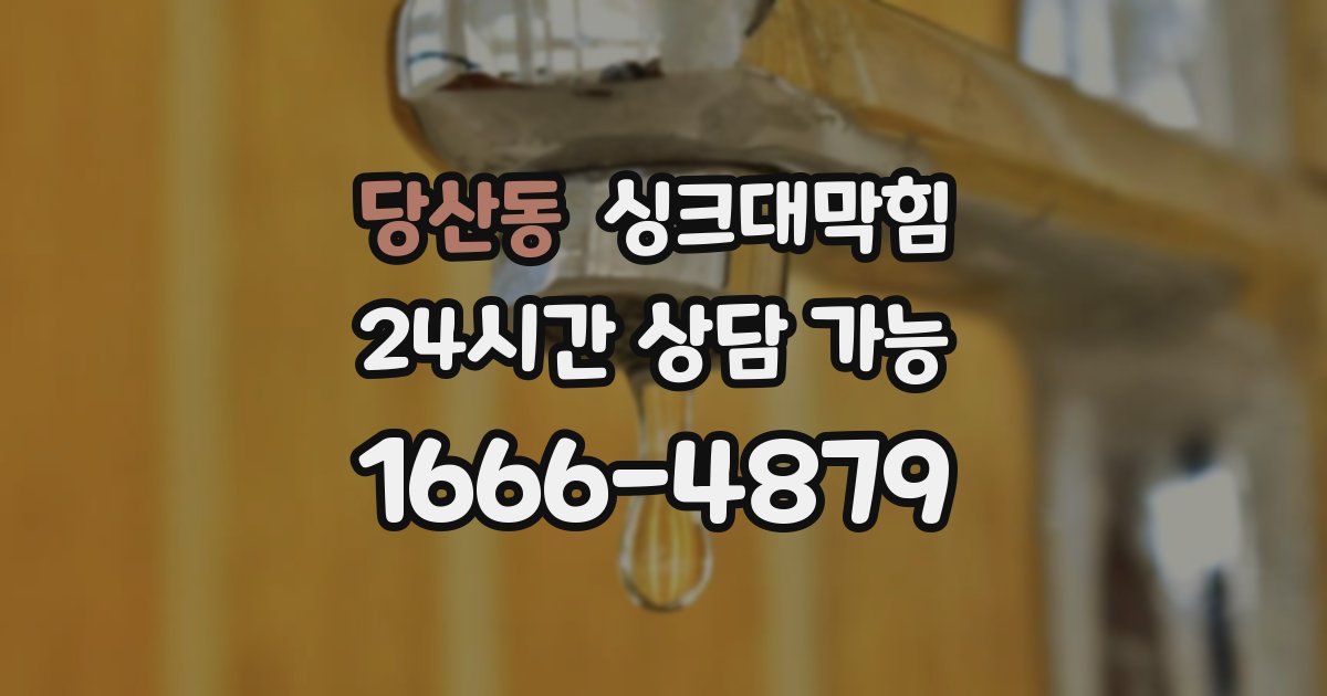 당산동 싱크대 뚫기