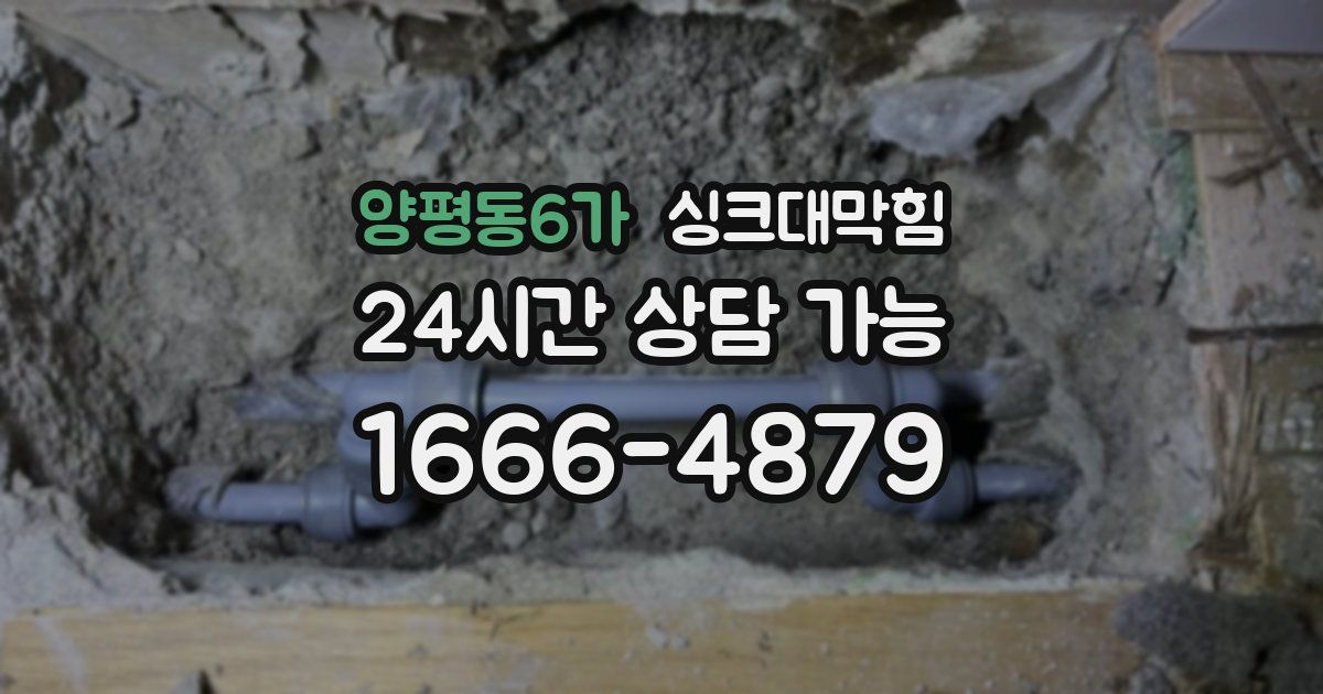 양평동6가 싱크대 뚫기