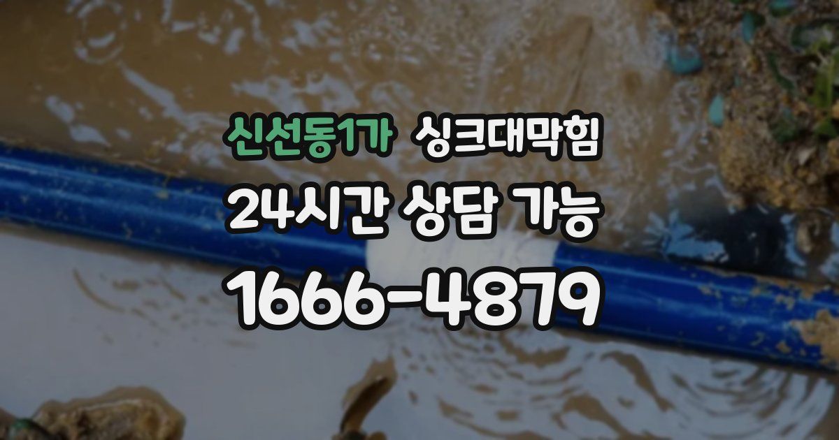 신선동1가 싱크대 뚫기