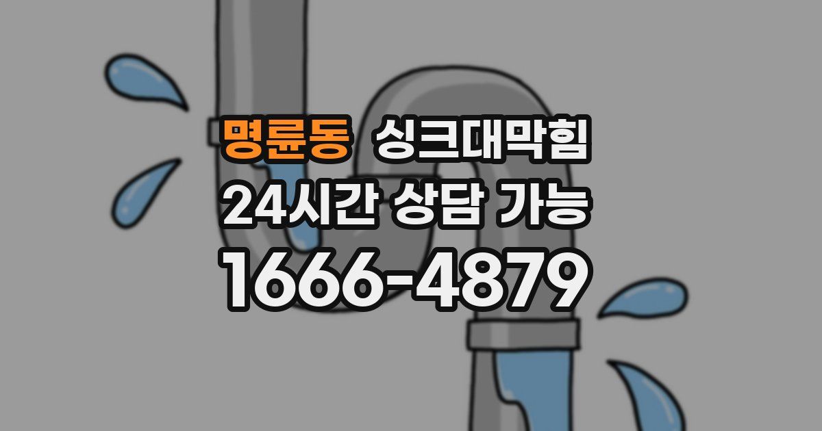 명륜동 싱크대 뚫기