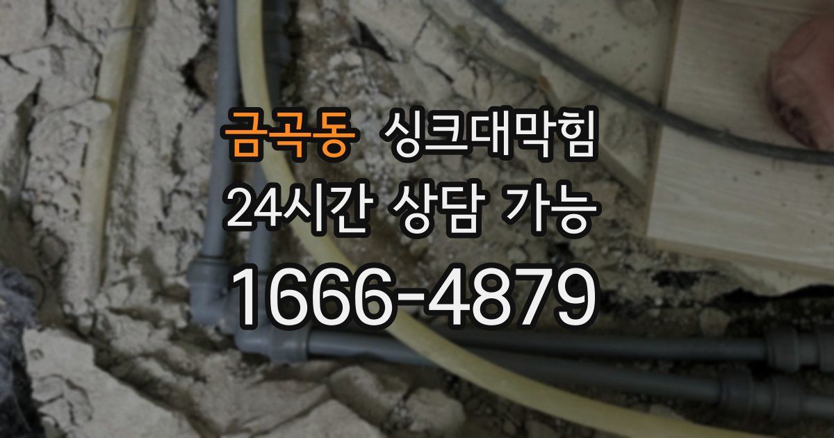 금곡동 싱크대 뚫기
