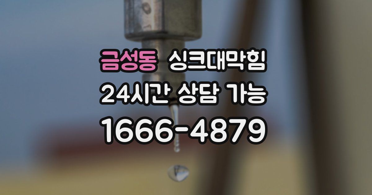 금성동 싱크대 뚫기