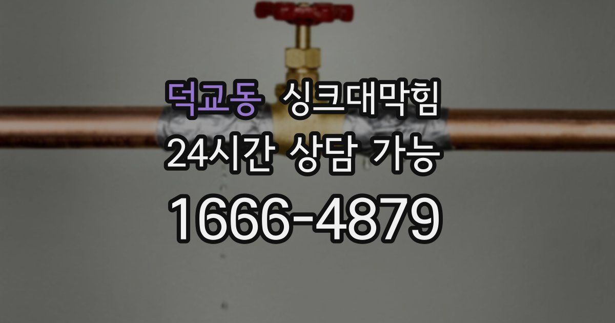 덕교동 싱크대 뚫기