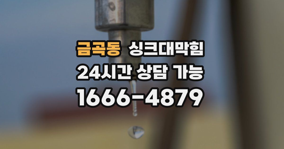 금곡동 싱크대 뚫기