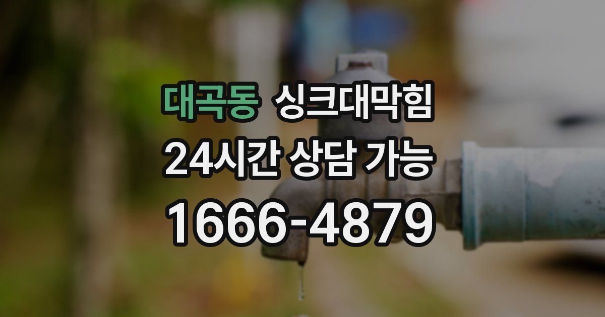 대곡동 싱크대 뚫기