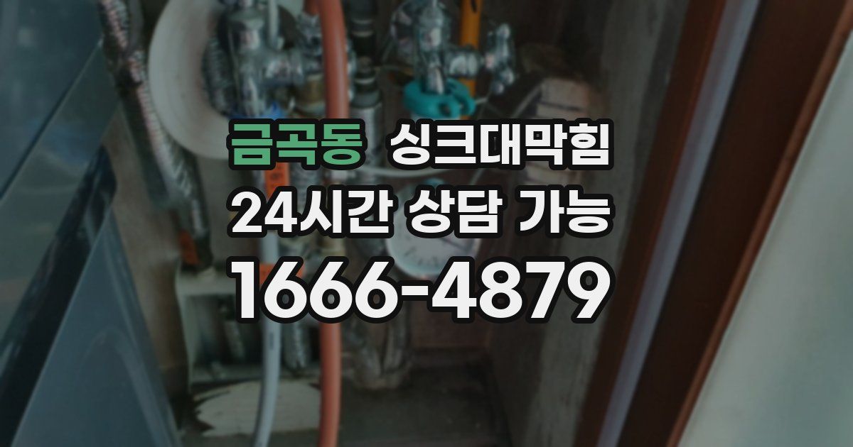 금곡동 싱크대 뚫기