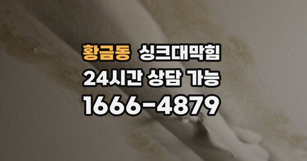 황금동 싱크대 뚫기