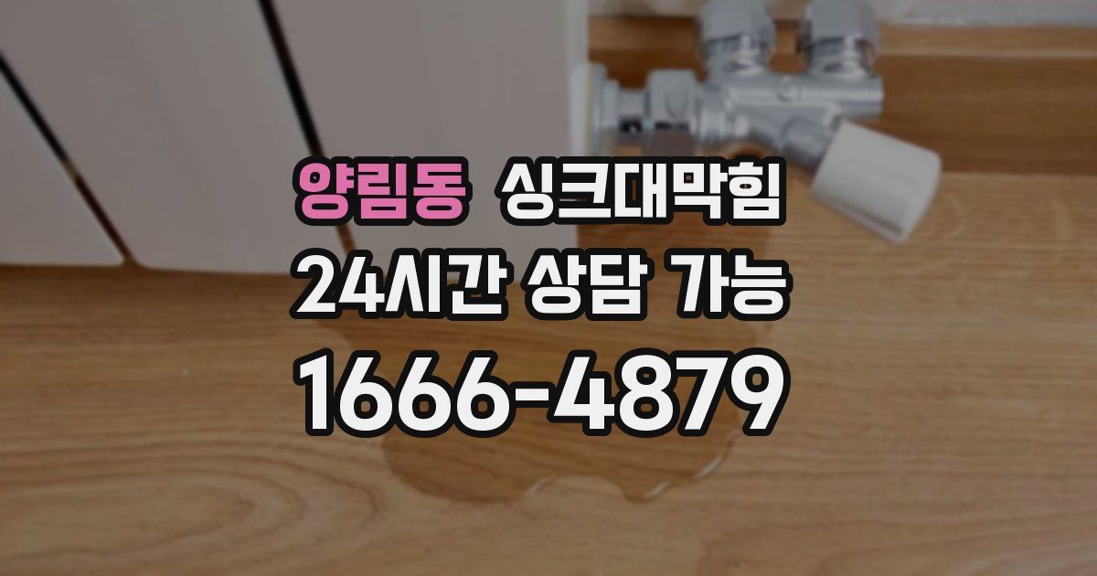 양림동 싱크대 뚫기