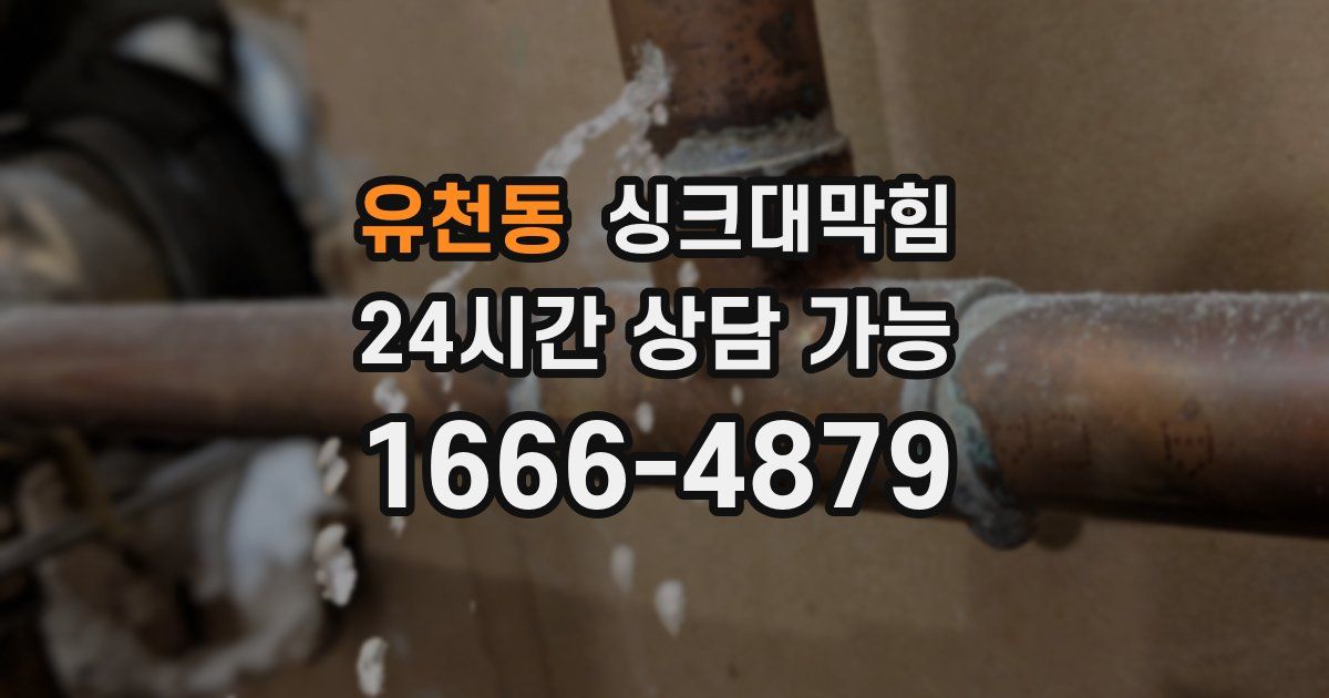 유천동 싱크대 뚫기