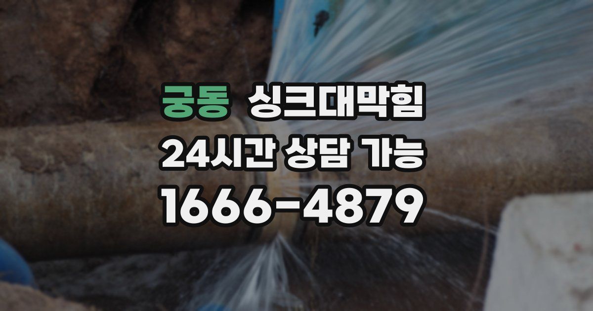 궁동 싱크대 뚫기