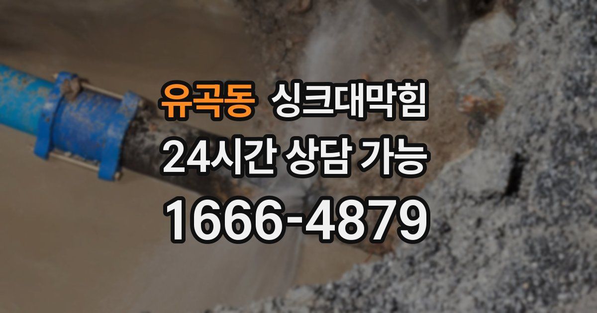 유곡동 싱크대 뚫기