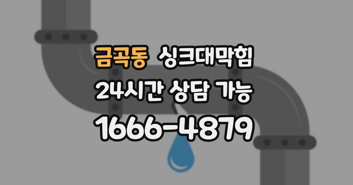 금곡동 싱크대 뚫기