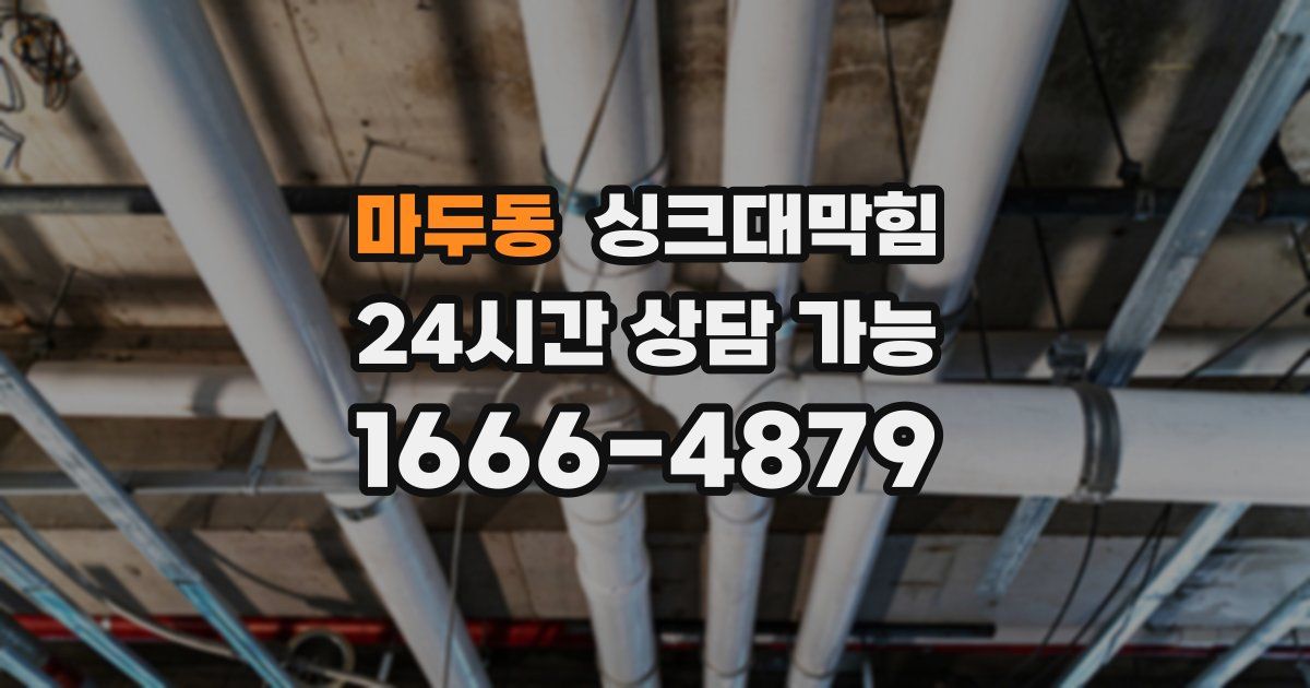마두동 싱크대 뚫기