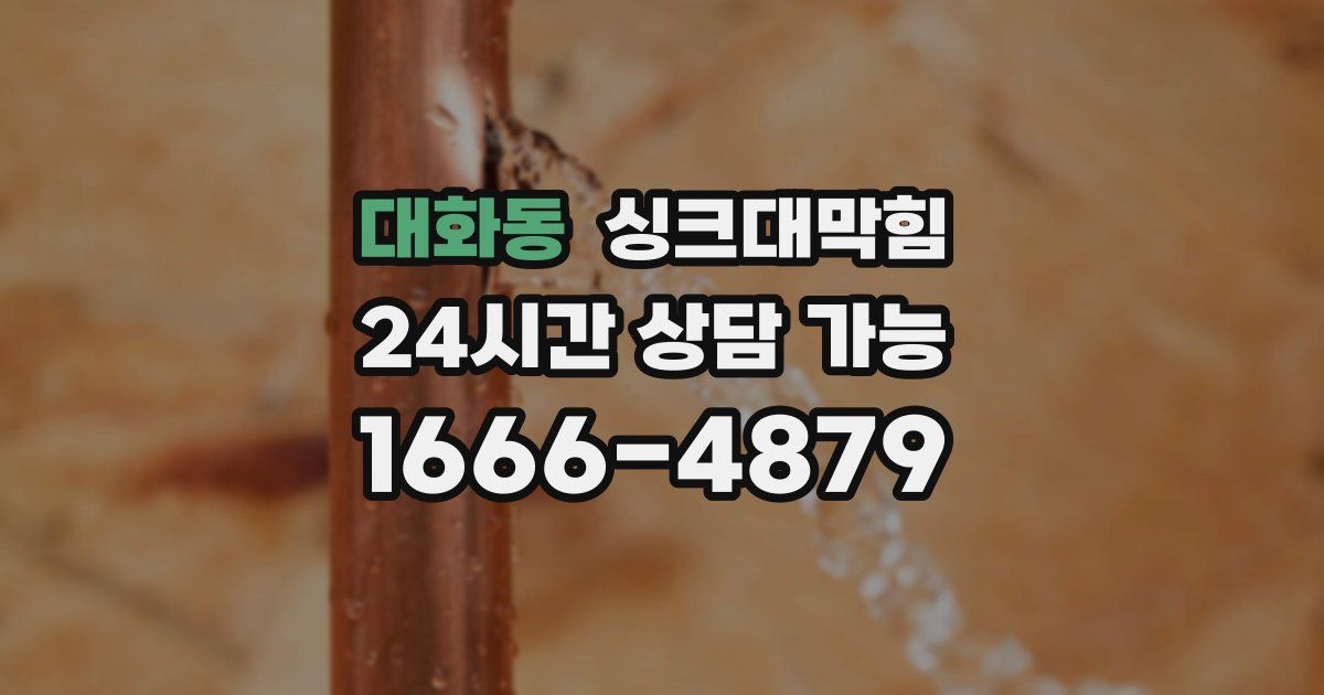 대화동 싱크대 뚫기