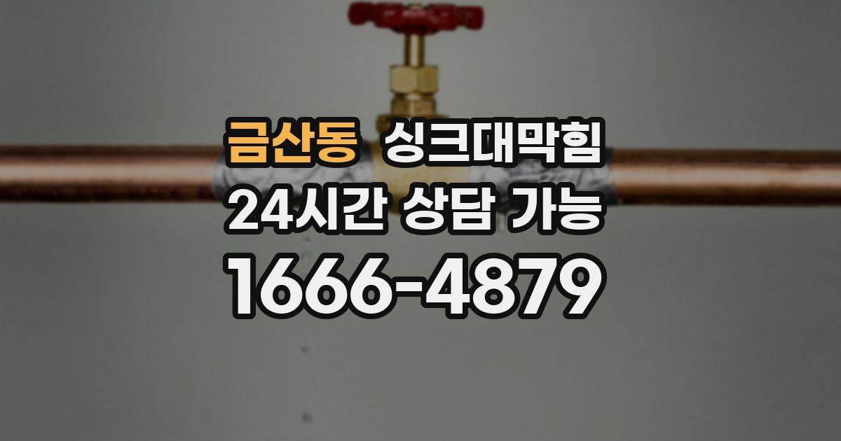 금산동 싱크대 뚫기