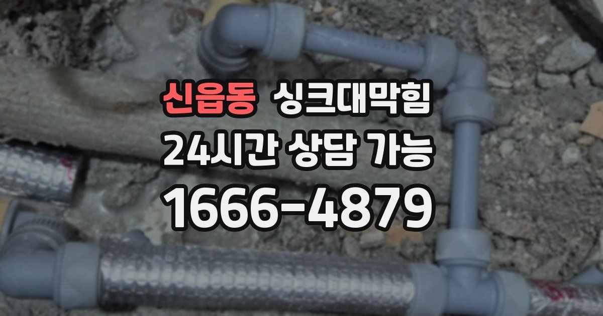 신읍동 싱크대 뚫기