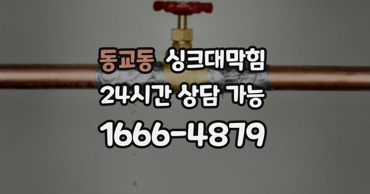 동교동 싱크대 뚫기