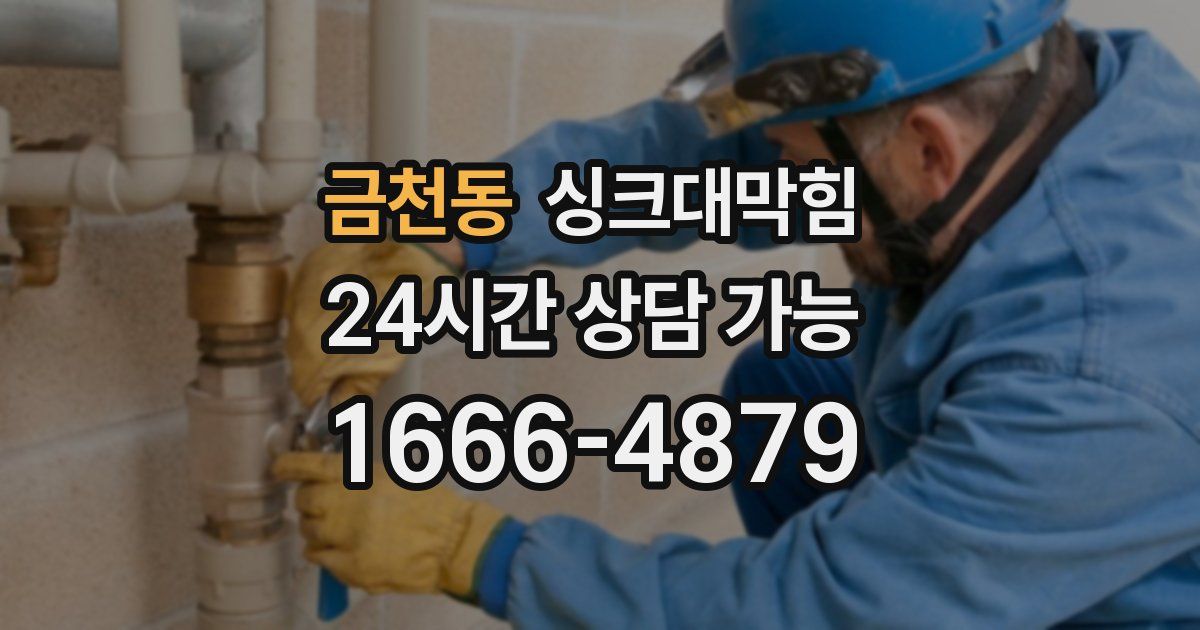 금천동 싱크대 뚫기