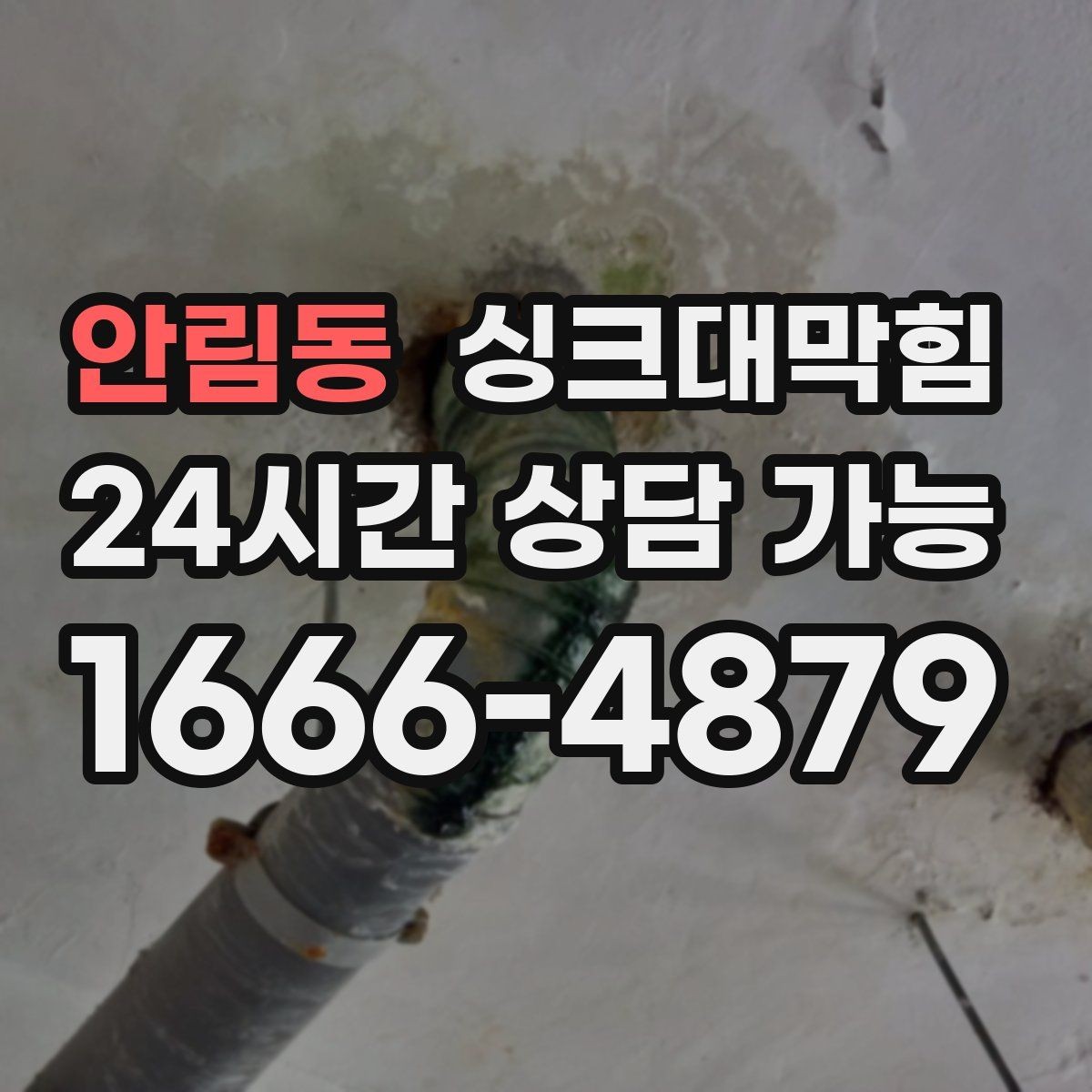안림동 싱크대막힘 원룸 주방 배수구 소독 이후 조용한 싱크볼