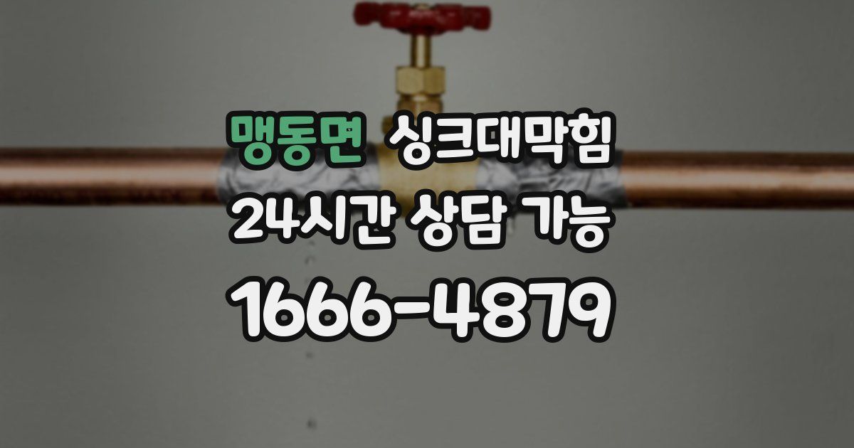 맹동면 싱크대 뚫기