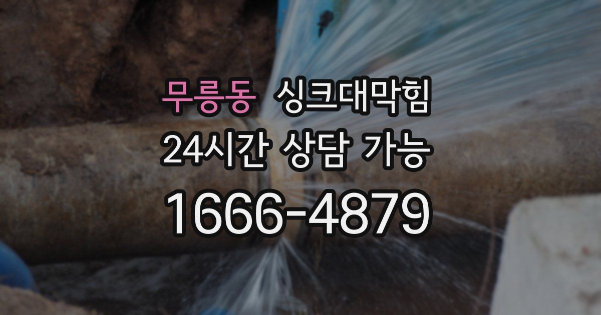무릉동 싱크대 뚫기