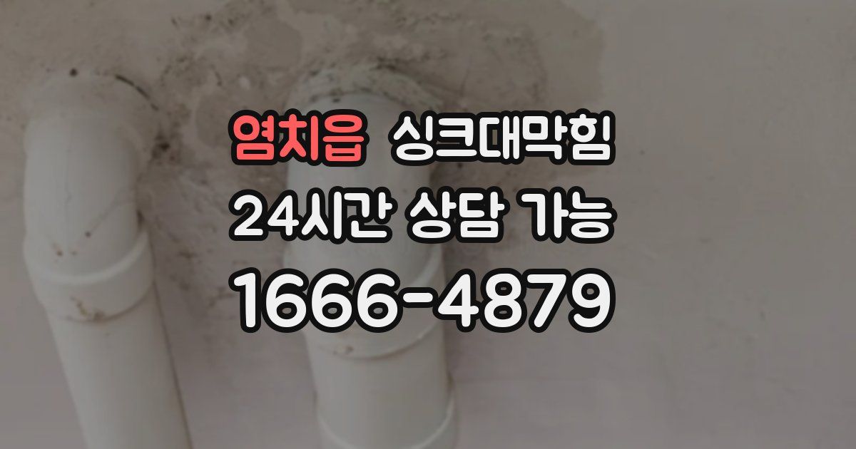 염치읍 싱크대 뚫기