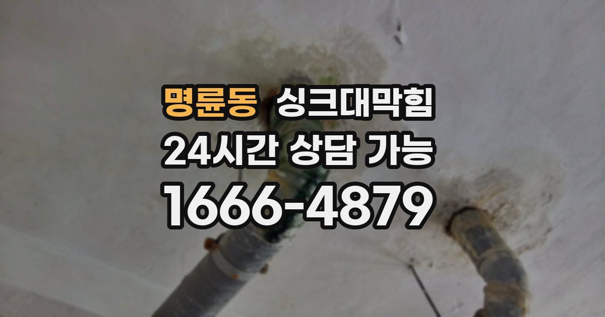 명륜동 싱크대 뚫기