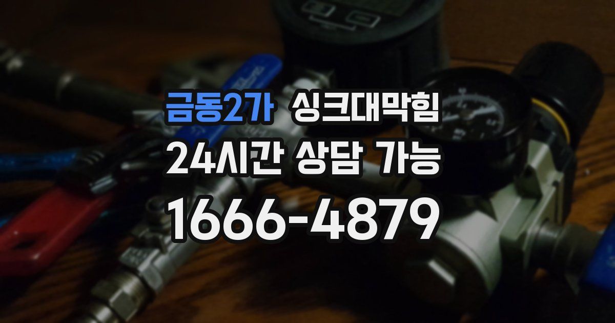 금동2가 싱크대 뚫기